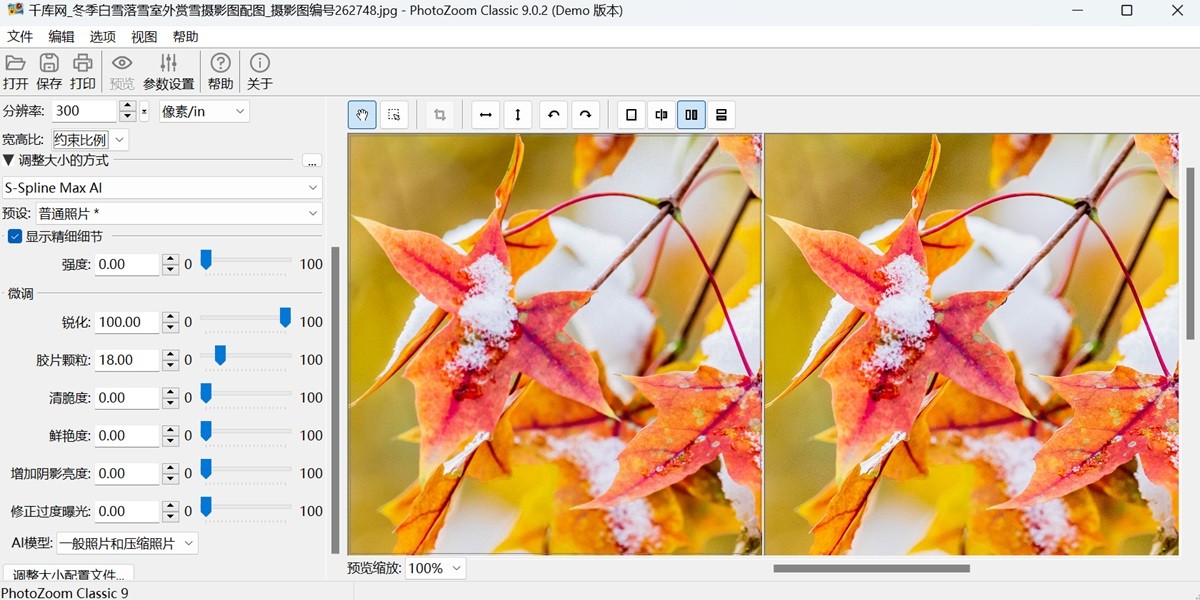 PhotoZoom Classic 9ͼ3