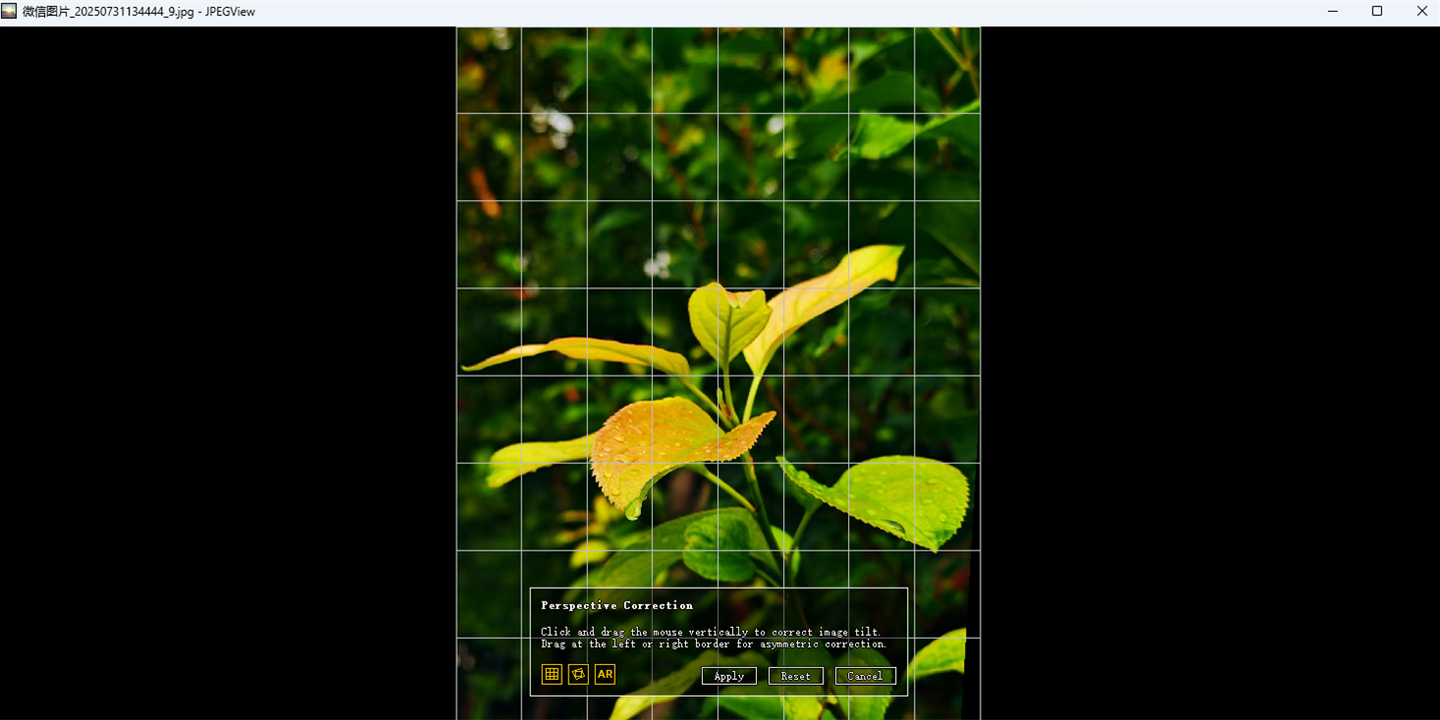 JPEGView截图1 JPEGView截图1