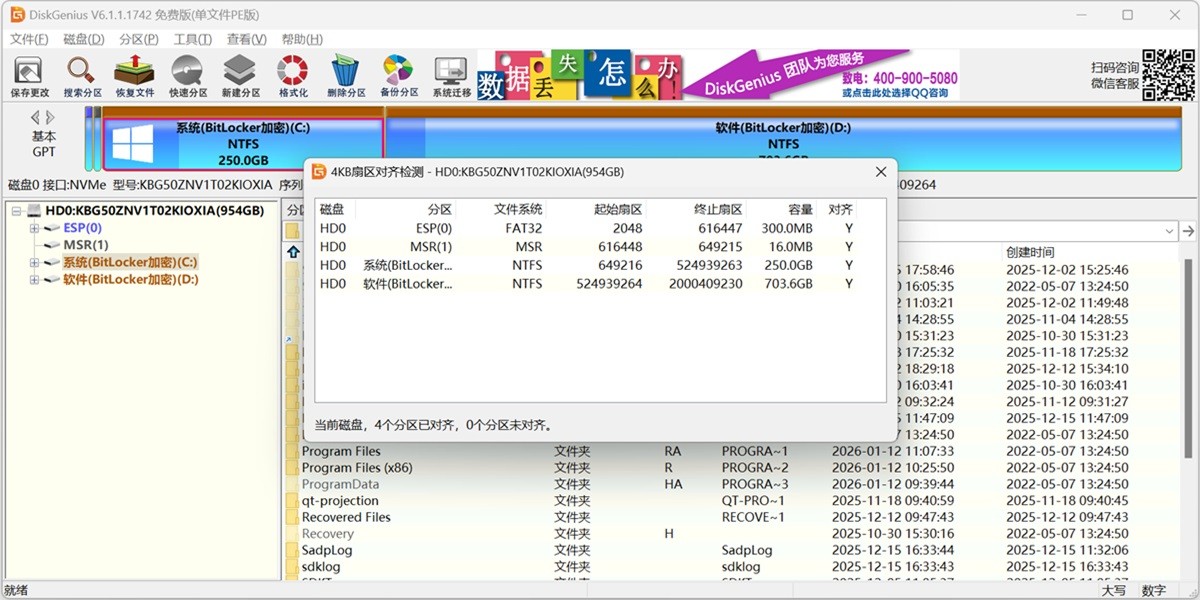 DiskGenius���ļ�PE��32λ��ͼ3
