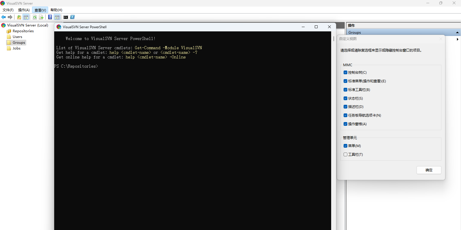 VisualSVN Server��ͼ4