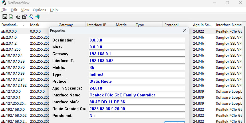 NetRouteView��ͼ3
