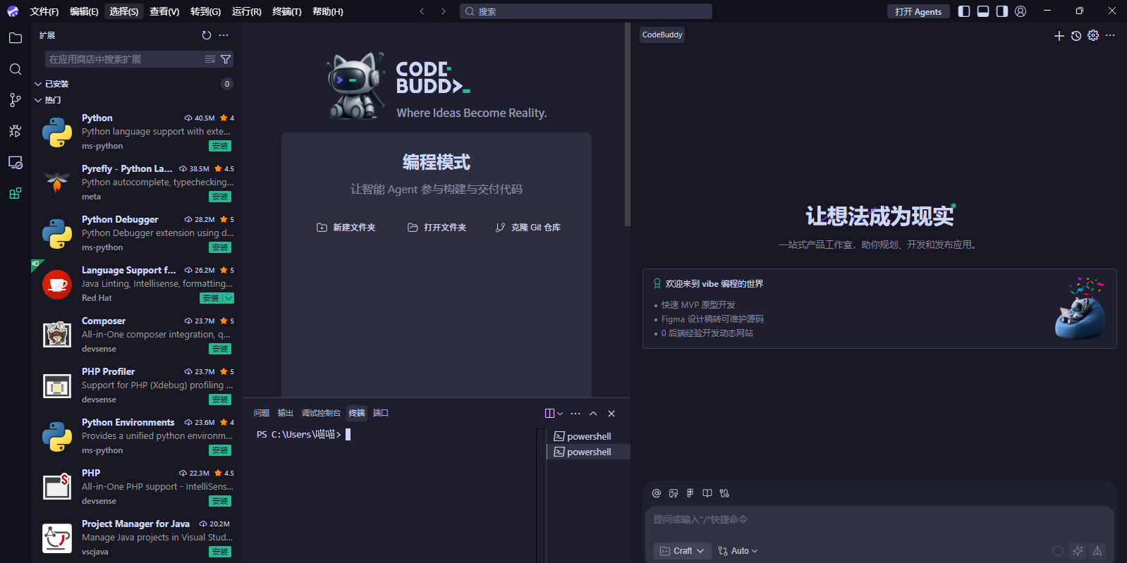 CodeBuddy��ͼ5