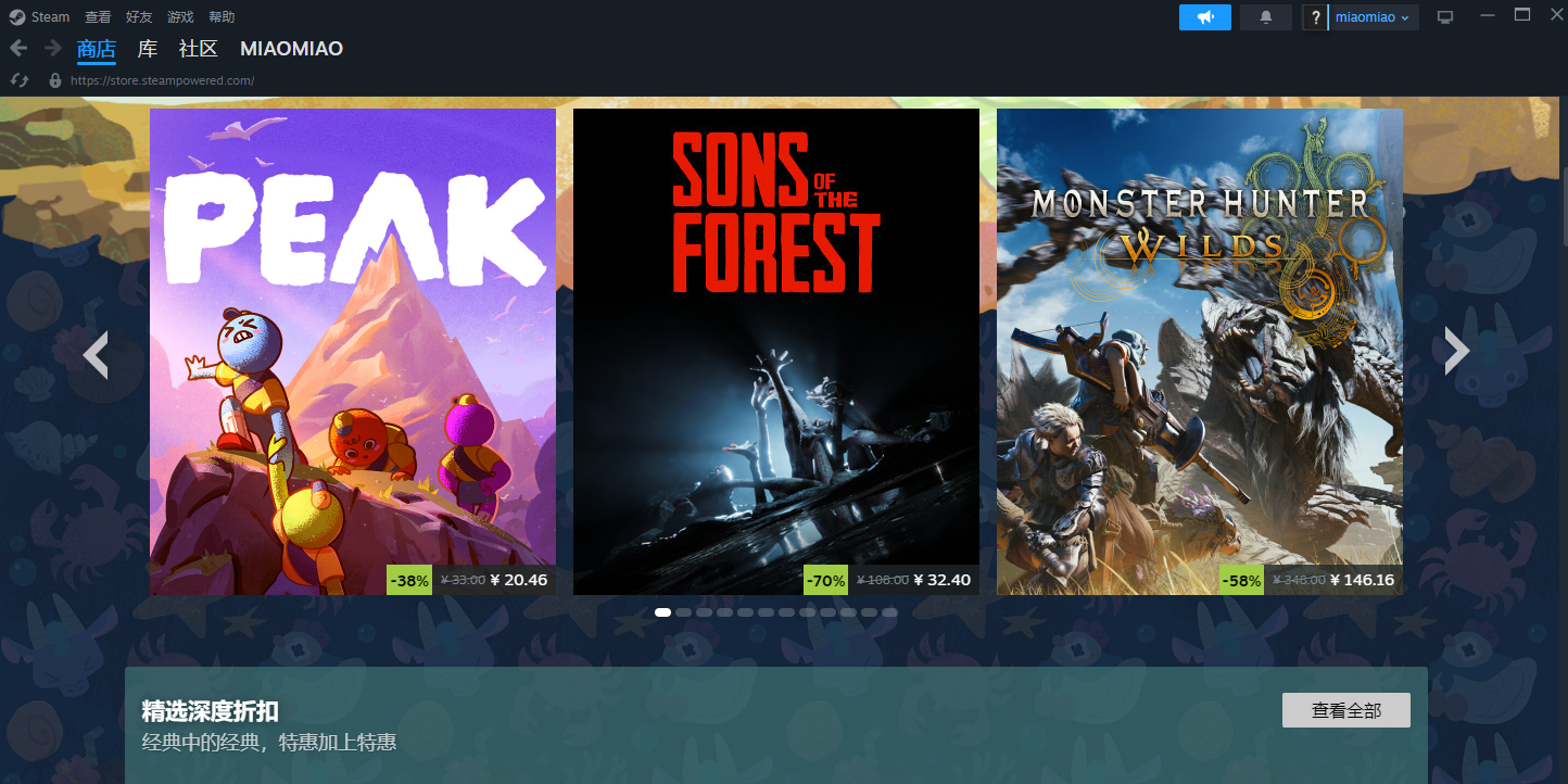 Steam截图1 Steam截图1